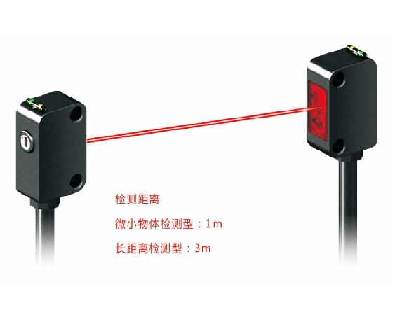 t02.jpg